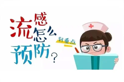 2.webp