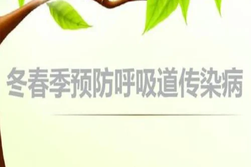 3.webp