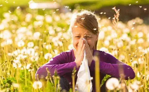 花粉过敏能打新冠疫苗吗