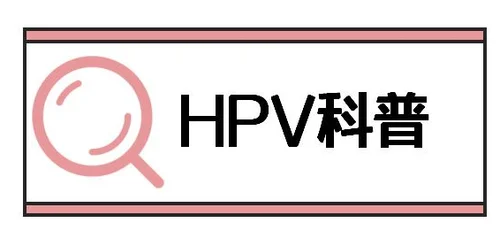 37.webp