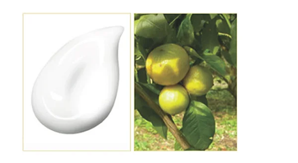 护肤级卸妆,洗出“弹润肌”