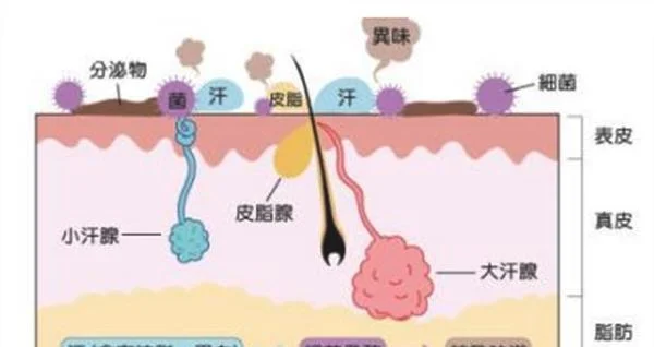 做微波去除腋臭需要多少钱？费用是多少？