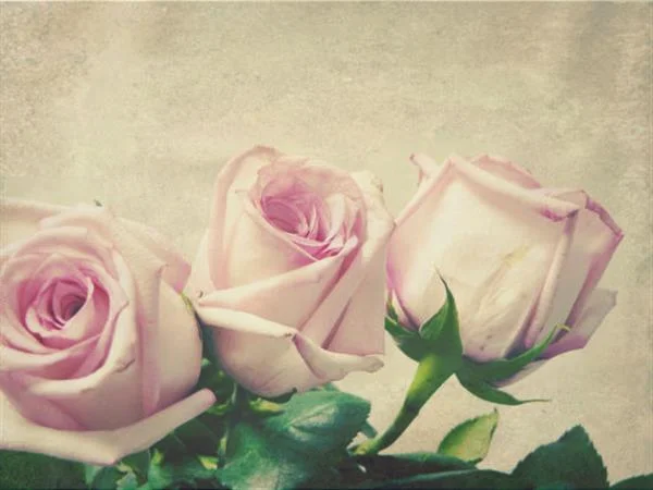 阴道紧缩术有什么副作用 术后需要注意什么